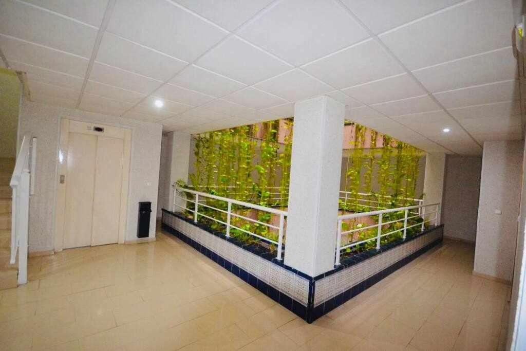 Apartamento Pink Sweet Home Torrevieja Exterior foto